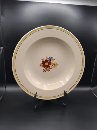 🇩🇪 Plato Villeroy & Boch floral vintage