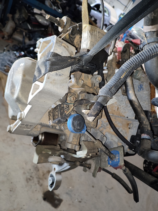 CAJA CAMBIOS FIAT 500 CABRIO (150) Collezione