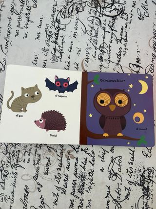 LiBRO EL PETIT LLIBRE DE LA LLUM