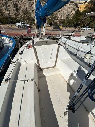 Barco velero 6m