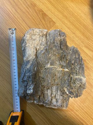 Roca Seiryu Grande Acuario 24cm