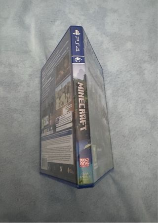 Minecraft PS4 Disco