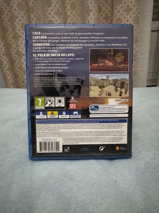 Minecraft PS4 Disco