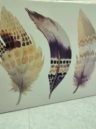 Cuadro de Plumas Decorativo
