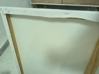 Cuadro de Plumas Decorativo