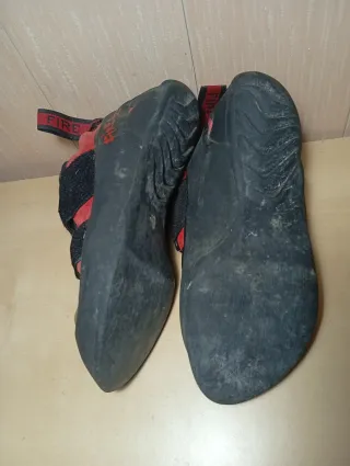 Pies de Gato Boreal Dragón Talla 38