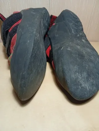 Pies de Gato Boreal Dragón Talla 38