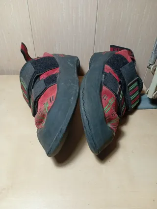 Pies de Gato Boreal Dragón Talla 38