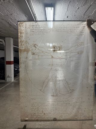 Tapiz Hombre Vitruvio Da Vinci Poliéster