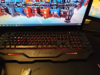 PC Gaming + Monitor + Cuenta Steam