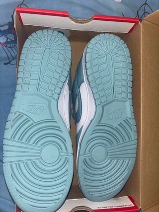 Nike Dunk Azul y Blanco