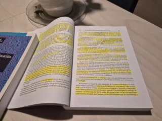 Psicología evolutiva I. Vol-I. Introducción al ...