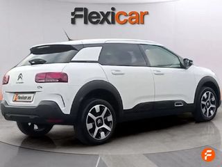 Citroën C4 Cactus BlueHDi 100 S&S Shine