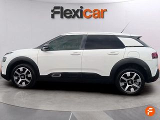 Citroën C4 Cactus BlueHDi 100 S&S Shine