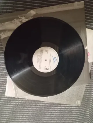 Vinilo Ilegales - Punk Rock