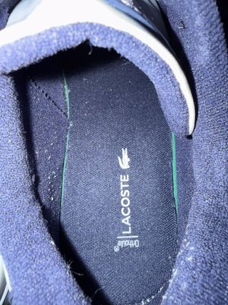Scarpe Lacoste blu e bianche