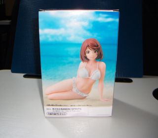 Rei Saiga Celestial Vivi Shangri La Frontier