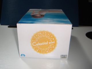 Rei Saiga Celestial Vivi Shangri La Frontier