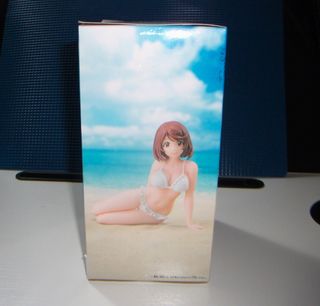 Rei Saiga Celestial Vivi Shangri La Frontier