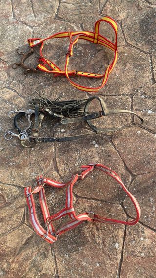 Correas y estribos caballo