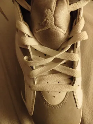 Air Jordan Gris y Blanco 44