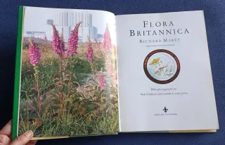 -> Lote libros plantas de jardín