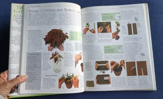 -> Lote libros plantas de jardín