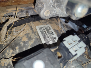 CAJA CAMBIOS FORD FOCUS ACTIVE | 06.20 -