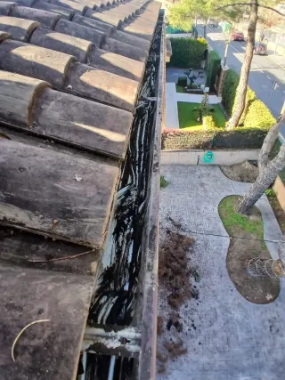 Servicios de limpieza de canalones y tejados