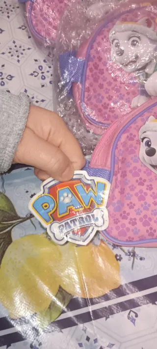 Astucci Paw Patrol, Frozen e bambina