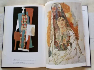 -> Lote libros de Picasso