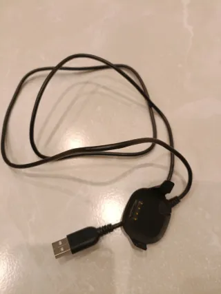 Reloj Garmin Negro Forerunner 10