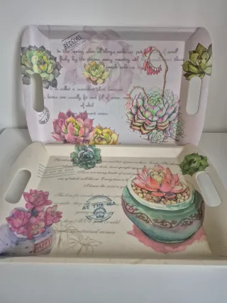 Lote 2 bandejas decoradas con suculentas