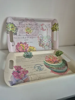 Lote 2 bandejas decoradas con suculentas