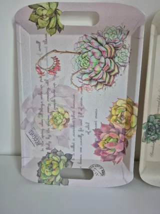 Lote 2 bandejas decoradas con suculentas