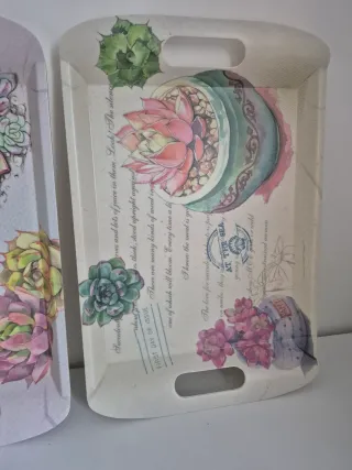 Lote 2 bandejas decoradas con suculentas