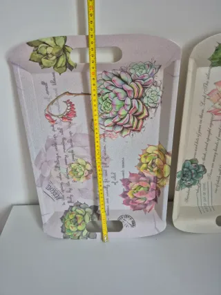 Lote 2 bandejas decoradas con suculentas