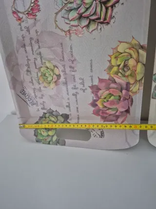 Lote 2 bandejas decoradas con suculentas