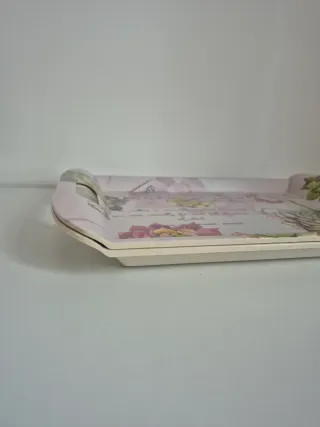 Lote 2 bandejas decoradas con suculentas