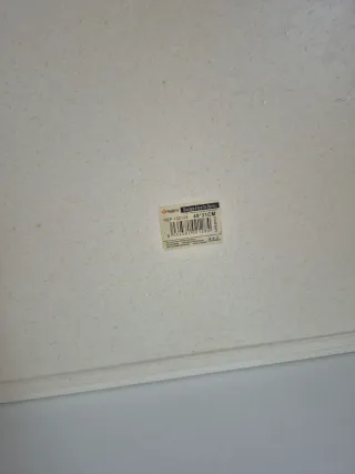 Lote 2 bandejas decoradas con suculentas