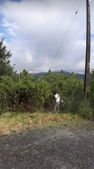 Jardinero económico