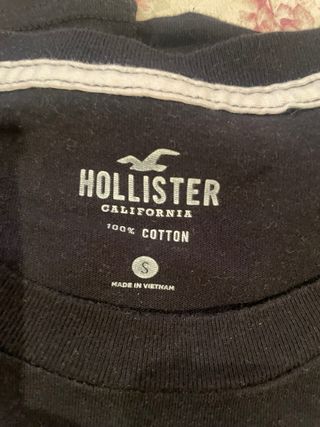Camiseta Hollister Algodón Multicolor