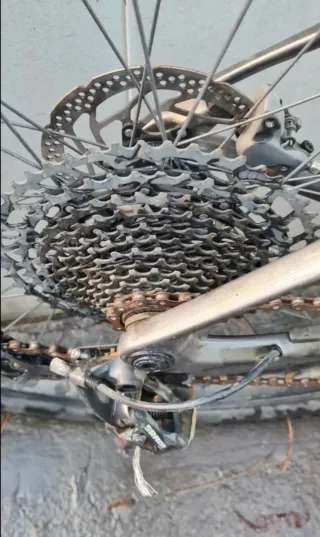 Bicicleta Orbea Alma modelo M50 Carbono talla M