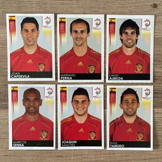 Figurine Calciatori Panini Spagna Euro 2008