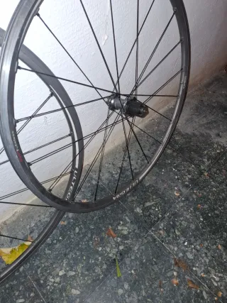 Ruedas Shimano Ultegra