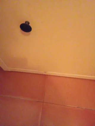 Zapatero amarillo de madera