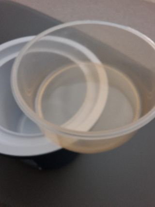 Portavivande/contenitore per il pranzo Gio'Style D