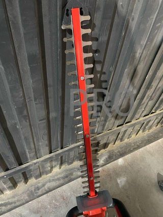 Tagliasiepi senza fili Einhell