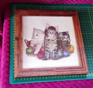 2410131439 quadretto gattini