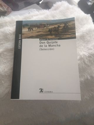 Don Quijote de la Mancha. (Selección) (Catedra Base / Cathedral Base) (Spanish Edition)